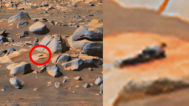 The body of a humanoid discovered on Mars