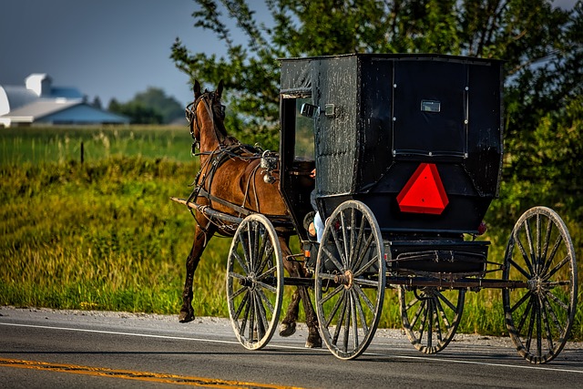 USA - French origins of the Amish
