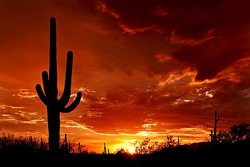 OVNI cambia abruptamente de trayectoria en el cielo de Tucson